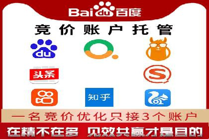 sem代运营公司成功案例：从零到一的营销策略构建