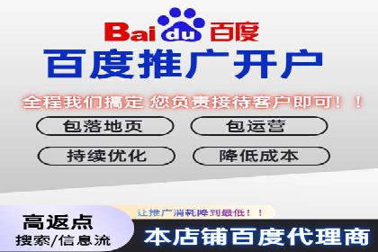 百度竞价SEM：成功案例解析与效果评估